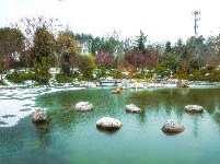 浪漫的雪后浅山