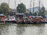 【随手拍春天】护城河畔杨柳依依