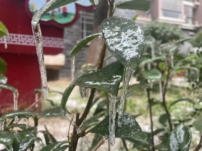 冻雨究竟是种什么雨？