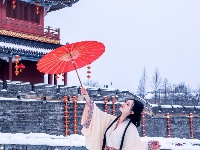 梦回战国
