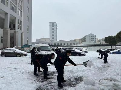 冲锋在前 荆州国资系统各级党组织全力以赴“遇雪”奋战