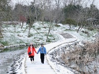 浪漫的雪后浅山