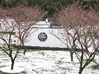 浪漫的雪后浅山