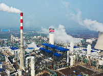 组图丨荆州华鲁恒升投产后创高效