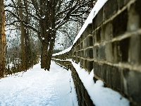 再踏雪，赏美景