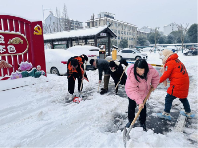 荆州区新风社区：除雪保畅通  巾帼我先行