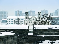 再踏雪，赏美景