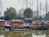 【随手拍春天】护城河畔杨柳依依