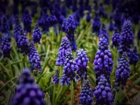 网友美拍：荆州园博园的春天