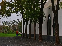 【网友美拍】浅山，追美的脚步，仍在延续……