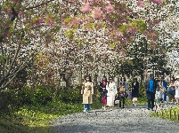 网友美拍丨浅山森林美术园