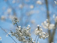 网友美拍丨浅山森林美术园