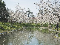 网友美拍丨浅山森林美术园