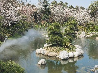 网友美拍丨浅山森林美术园