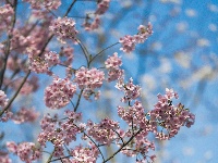 网友美拍丨浅山森林美术园