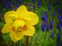 网友美拍：荆州园博园的春天