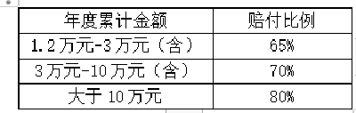 荆州市职工和城乡居民大病保险政策简介  什么是大病保险？