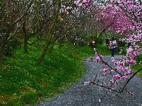 【网友美拍】浅山，追美的脚步，仍在延续……