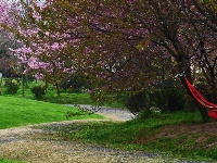 【网友美拍】浅山，追美的脚步，仍在延续……