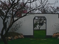 【网友美拍】浅山，追美的脚步，仍在延续……