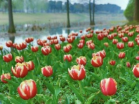 网友美拍：荆州园博园的春天