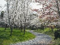 网友美拍丨浅山森林美术园