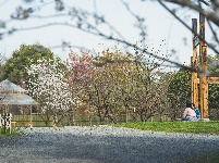 网友美拍丨浅山森林美术园