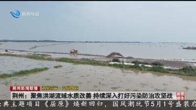 荆州：聚焦洪湖流域水质改善 持续深入打好污染防治攻坚战