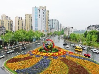 【图集】鲜花迎盛世 扮亮荆州城