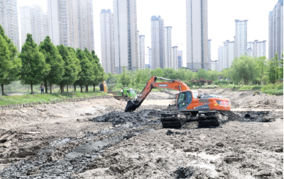 荆北新区广湖垸公园水体整治 增强生态修复能力