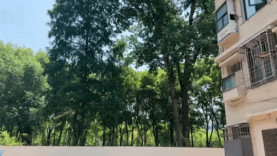 荆州人注意！关窗！关窗！关窗！