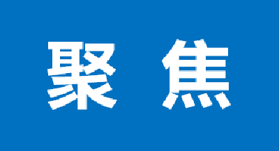 陈明宇督办中央生态环境保护督察交办信访件整改工作