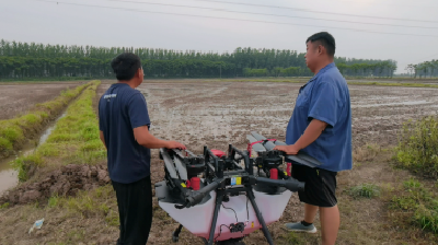 荆州高新区：无人机绘出现代“农耕图”