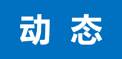 卜小荣带队督办检查防汛、防溺水工作