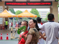图集|护考  助考  陪考
