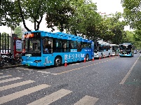 图集|护考  助考  陪考

