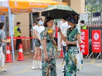 图集|护考  助考  陪考

