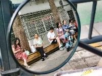 图集|护考  助考  陪考
