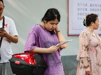 图集|护考  助考  陪考

