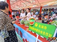 图集丨松滋：甜蜜共享 “瓜”分快乐