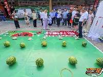 图集丨松滋：甜蜜共享 “瓜”分快乐