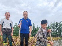 监利市：抢排农田渍水 减少农田作物损失