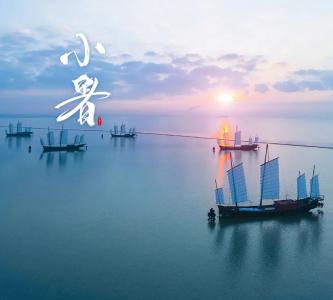 小暑：9张图，带你感受耀眼夏日
