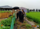 荆州市农技中心派指导组到县市区指导农田渍涝抗灾