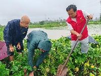 监利市：抢排农田渍水 减少农田作物损失
