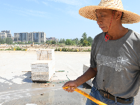 图集|高温下久经“烤”验 的劳动者 城市建设中最美的风景线