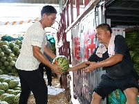 图集|两湖绿谷蔬果运输忙 保障群众“菜篮子”“果盘子”
