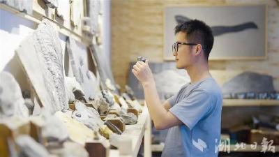罕见！距今4.5亿年！湖北一地发现