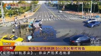 拖鱼车被撞侧翻 好心市民帮忙捡鱼