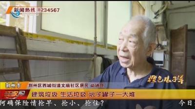 构树疯长穿窗入室 八旬老人心难安